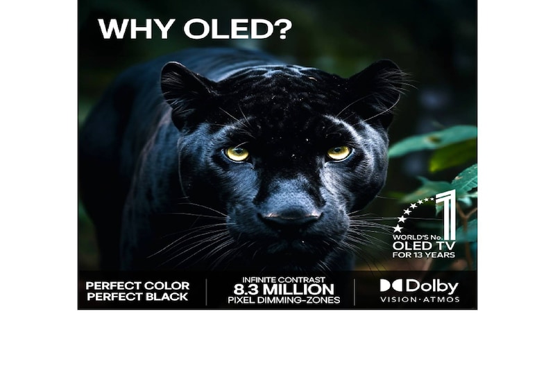 LG OLED evo AI C6 är väggmonterad i ett elegant vardagsrum, med en superslimmad design med smala ramar och visar ett stadslandskap vid en flod vid solnedgången på skärmen. 